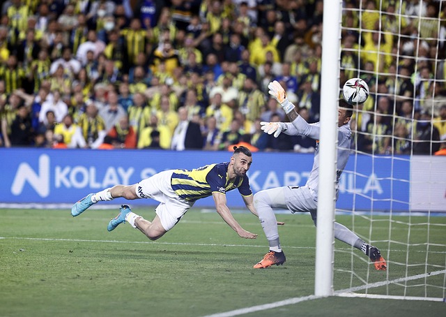 行面對面的 行面對面的