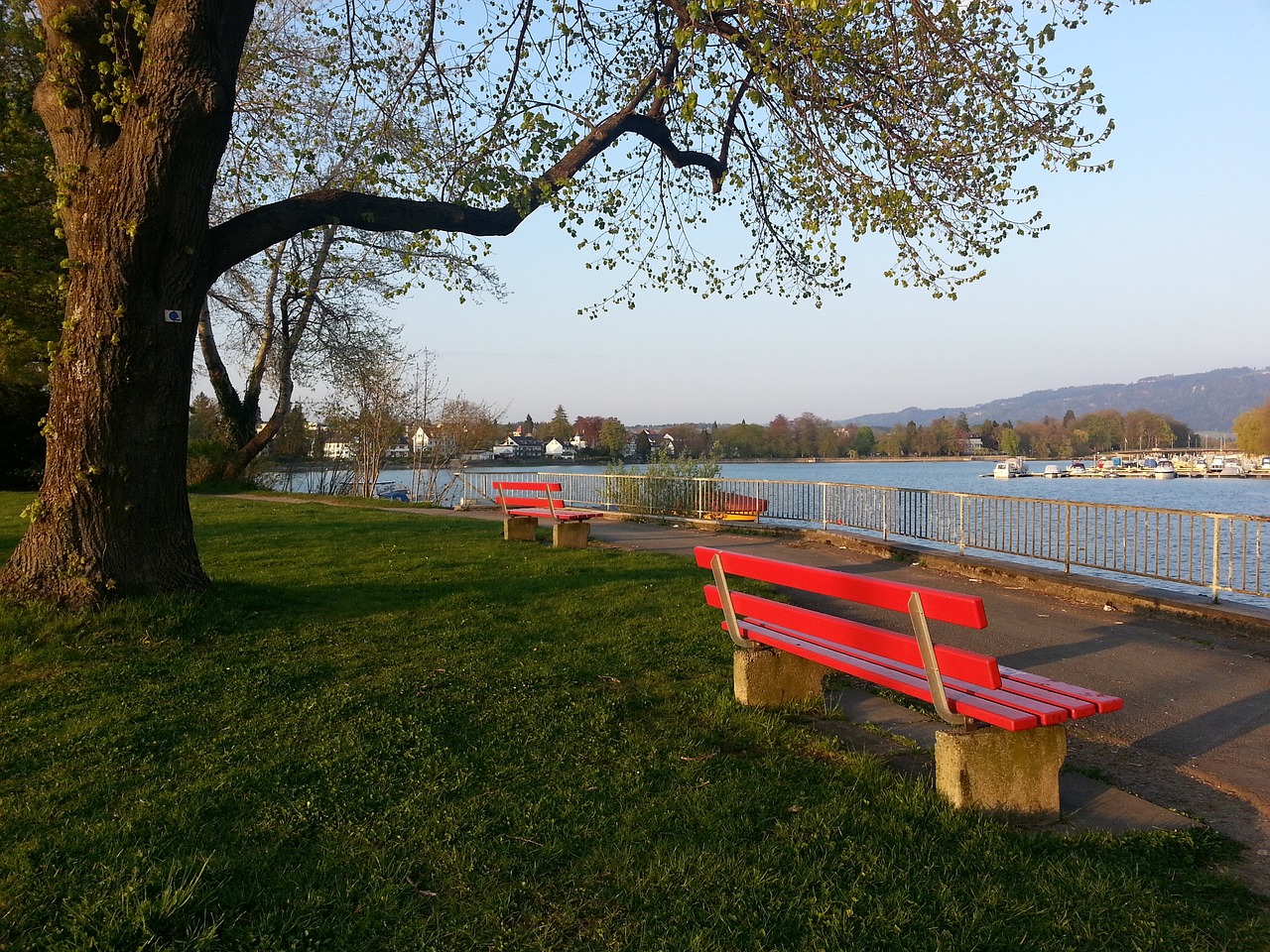 初四中东部大范围雨雪持续 明起冷空气来袭大部气温低迷.