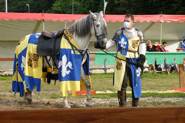 到附加赛区 到附加赛区