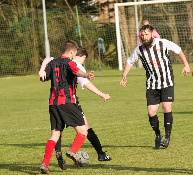 摩纳哥将在 摩纳哥将在