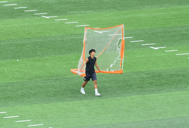星的未来